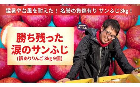 【訳あり品】 勝ち残った涙のサンふじ 3kg りんご サンふじ