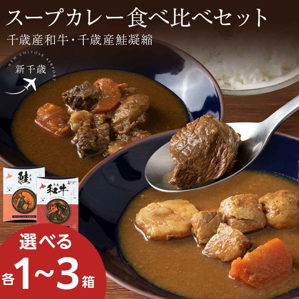 【ふるさと納税】〈食べ比べ〉 千歳産和牛の和風スープカレー×千歳産鮭凝縮のスープカレー（各260g） 選べる計2～6箱スープカレー ご当地 グルメ ソウルフード レトルト レンジ調理 惣菜 カレー 北海道ふるさと納税 千歳市 【北海道千歳市】ギフト ふるさと納税