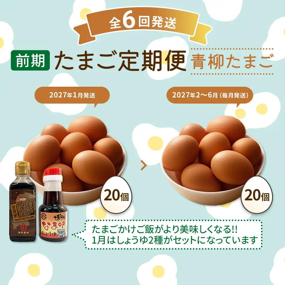 たまご前期定期便 6回発送（初回のみ醤油付き・たまご20個）20個×6回 合計120個 定期便 6ヶ月 卵 青柳たまご 送料無料 【2027年1月～6月の計6回お届け】