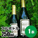 【ふるさと納税】シードルフルボトル 750ml　【 お酒 洋酒 スパークリングワイン リンゴ フルーツ 】