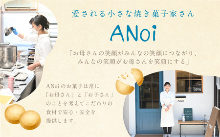 ANoi 焼き菓子セット 9種（ショートブレッド,スノーボール,クッキー,チョコパウンド,フィナンシェ,マドレーヌ）焼き菓子【55-1】