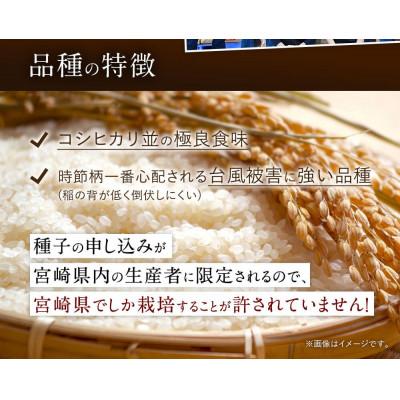 ふるさと納税 高鍋町 【毎月定期便】宮崎県産 夏の笑み(無洗米)20kg(5kg×4袋)全3回 |  | 01