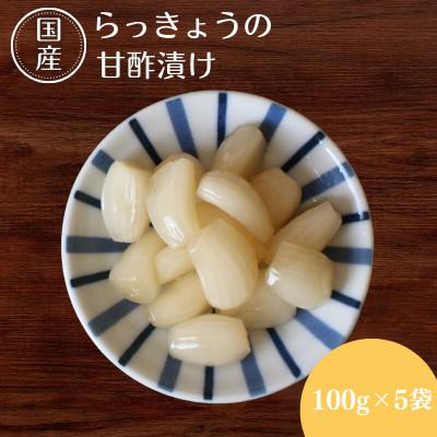 ふるさと納税 田辺市 らっきょうの甘酢漬け100g×5【ksn005】