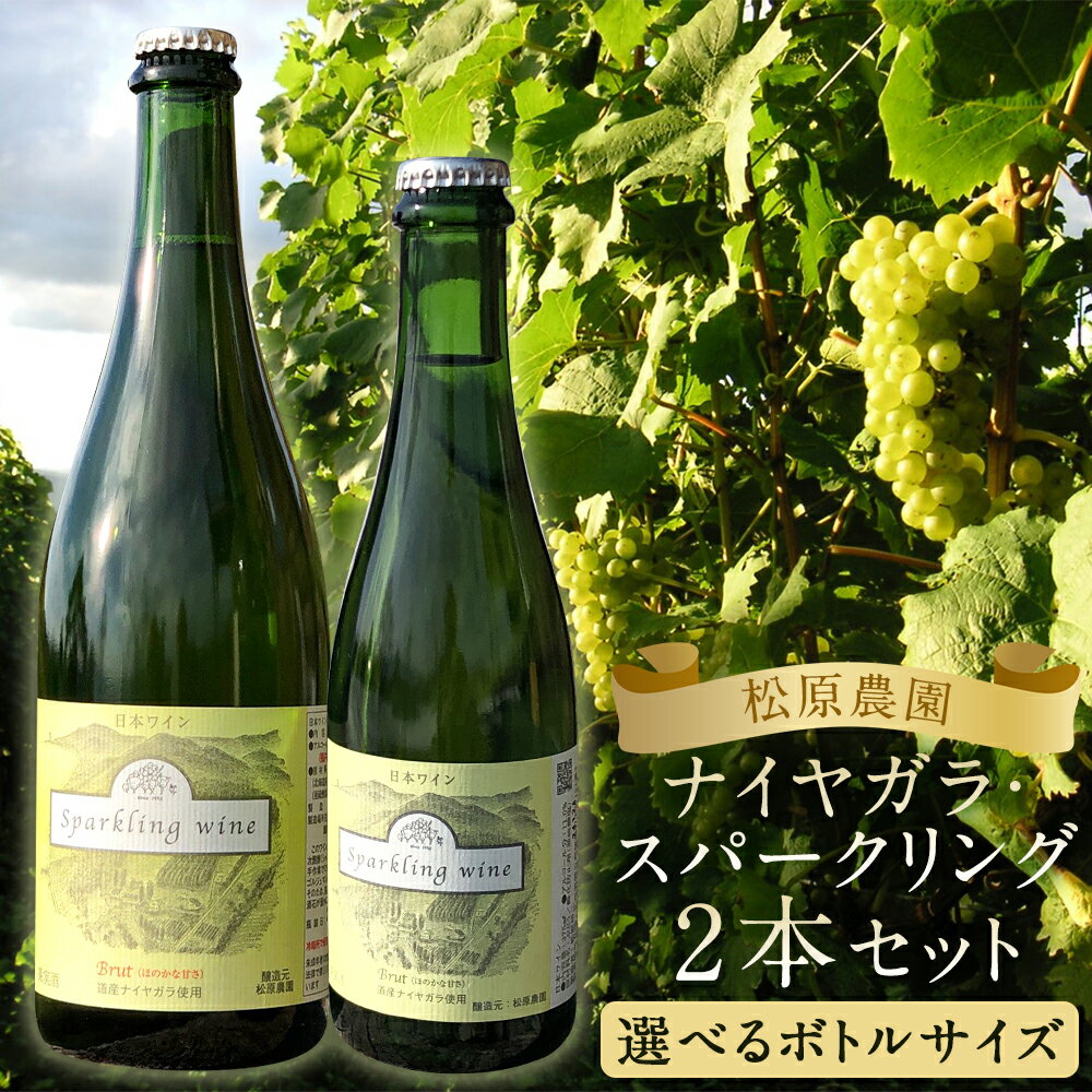【ふるさと納税】ナイヤガラ・スパークリング 2本セット ハーフボトル(375ml)/フルボトル(750ml) 選べる内容量 スパークリング お酒 ワイン 松原農園 蘭越町 送料無料