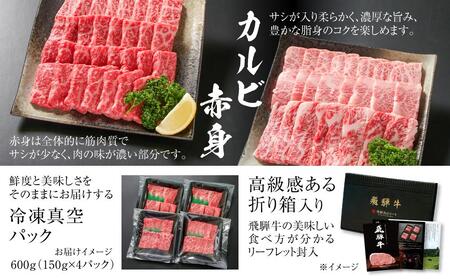 飛騨牛 焼肉 厳選2種盛（赤身・カルビ） 600g（150g×各2パック） | 焼肉 MZ008