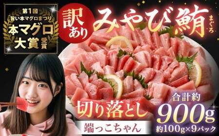 【訳あり】みやび鮪 切り落とし 端っこちゃん 計約900g（約100g×9） 9～10人前 ／ マグロ 鮪 トロ 本鮪 本マグロ 本まぐろ 冷凍まぐろ 冷凍鮪 まぐろ 赤身 トロ 鮪赤身 鮪トロ 国産
