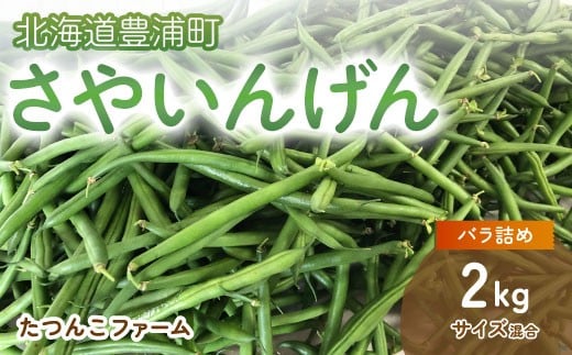 【2026.7月以降順次出荷】さやいんげん 2kg バラ詰め サイズ混合 北海道 豊浦町 【 ふるさと納税 人気 おすすめ ランキング 野菜 根菜 いんげん さやいんげん インゲン国産 バラ 詰合せ 混合 おいしい 美味しい 甘い 北海道 豊浦町 送料無料 TYUF002
