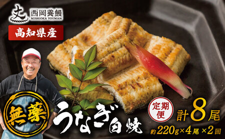 【 鰻白焼 】 国産 うなぎ白焼 定期便 計8尾 ( 220g × 4尾 × 2回 )
