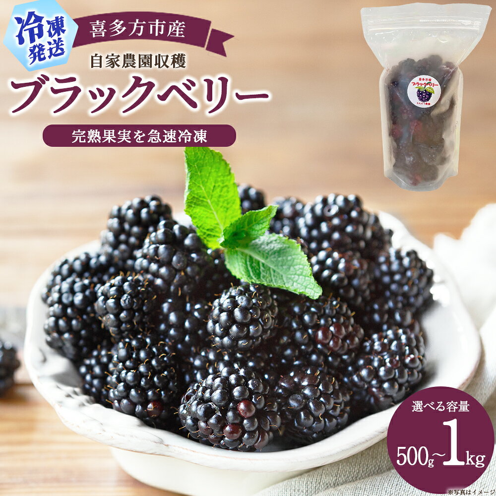 【ふるさと納税】【冷凍】喜多方市産ブラックベリー【選べる内容量 500～1kg】 福島県 喜多方市産 自家農園 収穫 急速冷凍 フレッシュ 【07208-1038-1040】