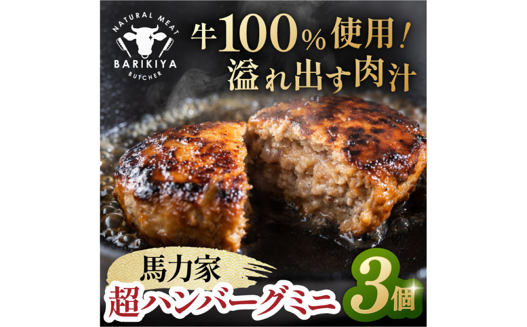 超ハンバーグミニ　3個　0110-017【 牛肉 飛騨牛 黒毛和牛 A5ランク 焼くだけ 簡単 おかず お弁当 おつまみ 】