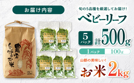 有機野菜 ベビーリーフ (100g×5パック) お米 2kg 計2.5kgセット 山都町産 有機野菜 産地直送 高原野菜 有機JAS認証取得 有機野菜【株式会社 清和ミネラル会】[YBT001]