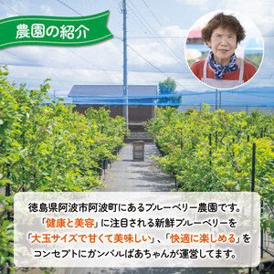 ブルーベリー 冷凍 1kg フルーツ クール便 甘い 大粒 果肉 果実 美容 健康 徳島 阿波市 四国 