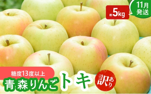 
                  りんご 【 11月発送 】( 糖度13度以上 ) 訳あり品 家庭用 トキ 約 5kg 【 青森りんご 】
                