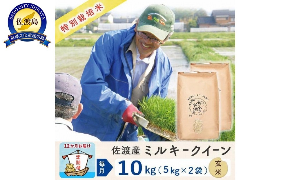 
                  【令和8年産新米 12ヶ月】佐渡島産ミルキークイーン 玄米 10kg 特別栽培米
                