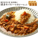 【ふるさと納税】 博多 サバ キーマカレー 6食 200g×6パック 九州産 魚介類 惣菜 加工品 サバ 鯖 おかず 冷凍 簡単調理 インスタント レトルト カレー 送料無料