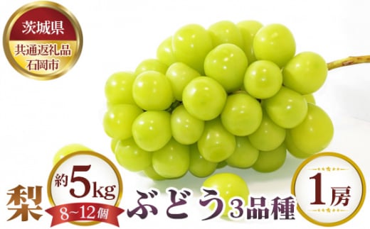 No.651 【先行予約】梨 約5kg（8～12個）とぶどう3品種×1房【茨城県共通返礼品 石岡市】 ／ 果物 なし ぶどう 茨城県