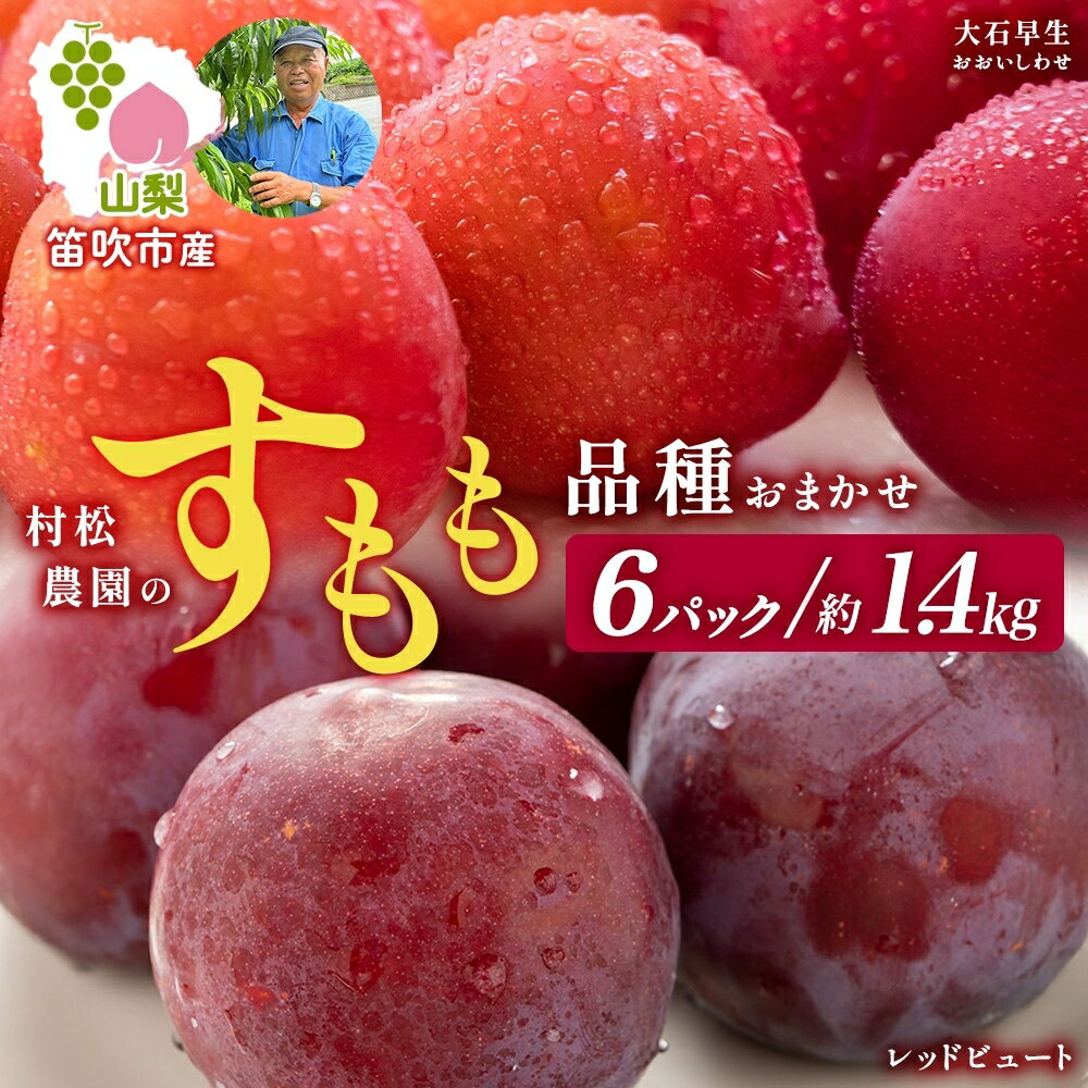 【ふるさと納税】【2026年発送★先行予約】すもも 品種おまかせ 6パック 約1.4kg 大石早生 レッドビュート スモモ プラム フルーツ 果物 産地直送 旬 果実 甘酸っぱい 爽やか 果汁 ジューシー こだわり 新鮮 人気 美味しい おやつ ギフト 村松農園 山梨県 笛吹市 177-5-013
