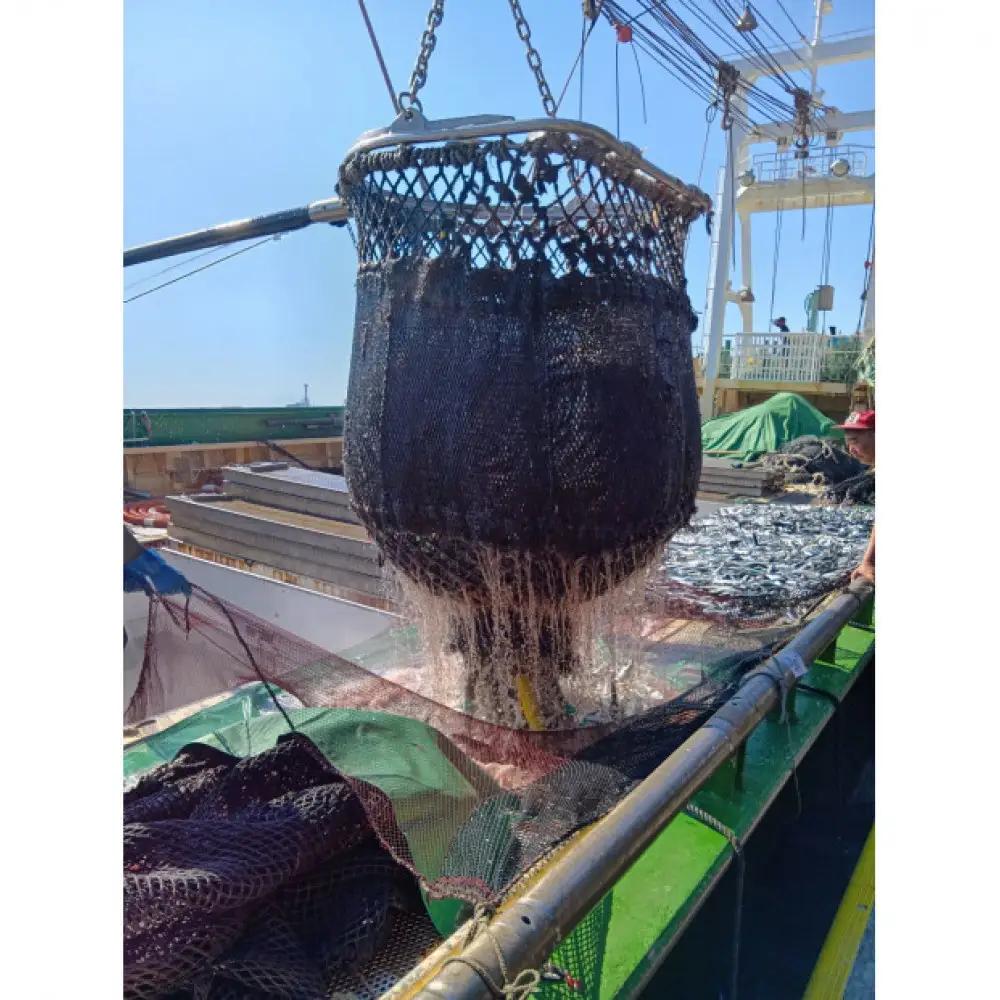＜訳あり＞鳥取県産こだわりのアジ開きフライ(30枚/約1.5kg)