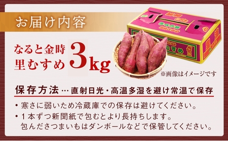 【 予約受付中・2025年9月下旬～10月頃より順次発送 】なると金時 里むすめ 3kg