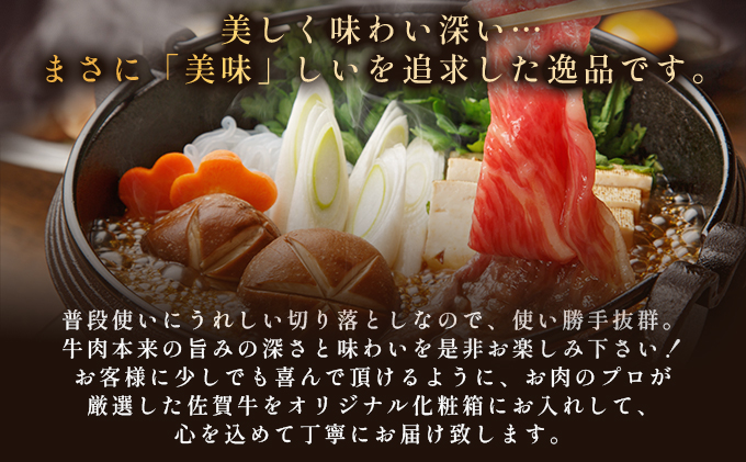 艶さし！訳あり！【A4～A5】 佐賀牛切り落とし 5kg (500g×10p)