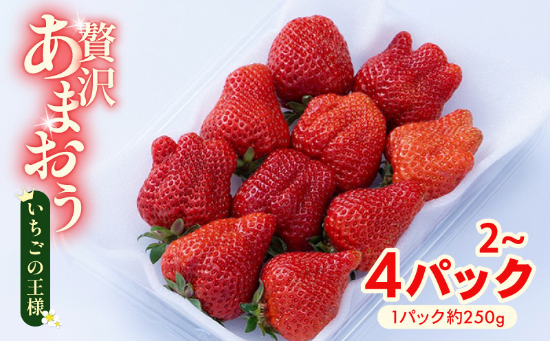 
                  【2026年12月上旬から2027年1月末発送】【冬】福岡産 あまおう 2パック 4パック 冷蔵 12月上旬から1月末まで順次発送 旬 いちご 苺 あまおう フルーツ 果物 くだもの スイーツ ギフト  ichigo strawberry  福岡県 川崎町 あまおう いちご 苺 イチゴ 果物 くだもの フルーツイチゴ 苺 ichigo strawberry    国産
                