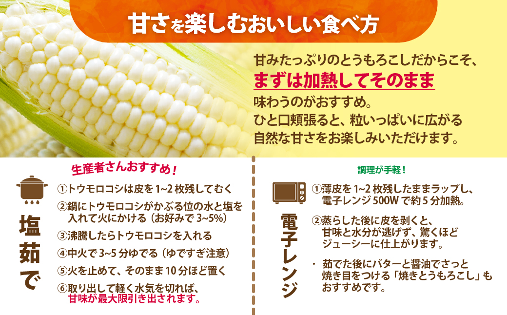 ＜2026年8月中旬よりお届け＞【朝採り】北海道壮瞥町 ホワイトコーン「ピュアホワイト」Lサイズ以上12本(約5kg) SBTQ003