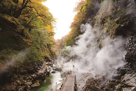 阿部旅館 宿泊券 2名様 ステーキプラン【(有)阿部旅館】[F7107]