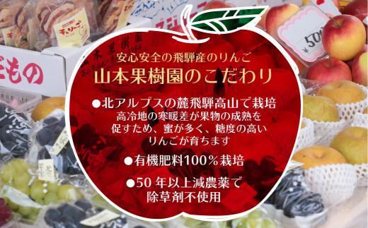【先行予約】飛騨高山産 山本果樹園 旬の飛騨りんご 約3kｇ(9個～12個）| 9月中旬～ 順次発送 りんご 果物 フルーツ おいしい 大容量 飛騨高山 山本果樹園 MA002