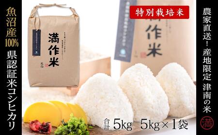 【2025年産 】県認証米魚沼産コシヒカリ 5kg(5kg×1袋) 産地限定！農家直送 |津南町 魚沼産 コシヒカリ