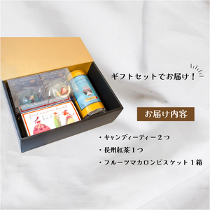 【キャンディーティー】 マカロン 長州紅茶 セット 紅茶 LL