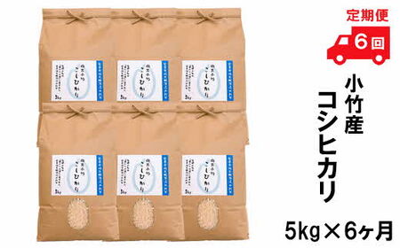 【定期便】小竹産コシヒカリ5kg×6ヵ月 ［令和6年産］ ／  新米 こしひかり 名水米 精米 白米