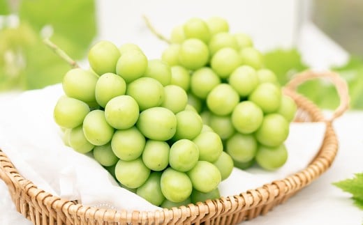 シャインマスカット 2房 （1kg以上） 【2026年8月下旬から10月上旬頃発送予定】 ／ くだもの 果物 果実 フルーツ ぶどう ブドウ 葡萄 マスカット 冷蔵 岡山県 美咲町