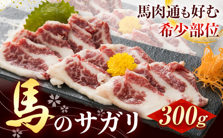 馬刺し 馬のサガリ 300g 長洲町L（桜屋）《30日以内に出荷予定(土日祝除く)》 熊本県 長洲町 馬刺し 馬肉 肉 サガリ 送料無料