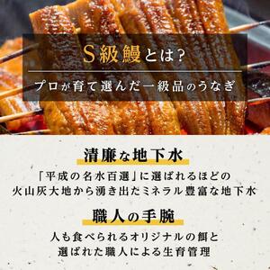 【影響が大きい事業者支援】横山桂一さんのS級鰻　大20尾（3Kｇ）