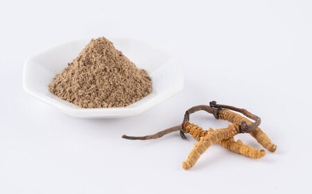 冬虫夏草 粉末 カプセル 1箱 15粒 オリジナルミニブック付き【株式会社 くろいし】[AYAX002]