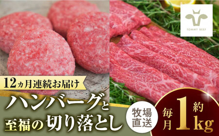 【全12回定期便】佐賀牛100％ハンバーグ4個と至福の切り落とし500g / ハンバーグ ハンバーグ ハンバーグ ハンバーグ ハンバーグ ハンバーグ ハンバーグ / 佐賀県 / 有限会社佐賀セントラル牧場 [41ASAA214]