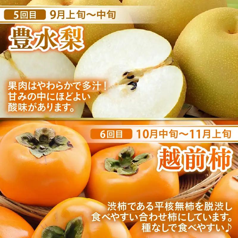 【先行予約】《全6回》あわら満喫 6種 フルーツ定期便 《あわらの旬が色々楽しめる♪》／ 果物 旬 食べ比べ 贈り物 定期便 マルセイユ アールス 大玉スイカ 梨 柿 ※2027年6月中旬以降順次発送