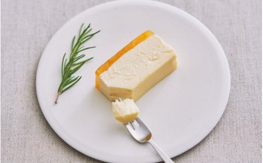 MOGAチーズテリーヌ（甘夏）１本入り / 田辺市 チーズテリーヌ 甘夏チーズテリーヌ チーズケーキ お菓子 スイーツ ギフト プレゼント 甘夏【mob006】