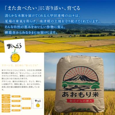 ふるさと納税 青森市 【先行予約受付】令和8年　青森県産まっしぐら　玄米30kg　彩北米 |  | 03