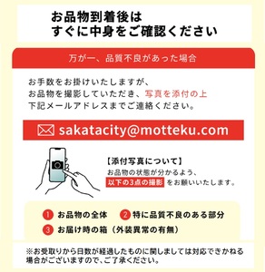 SB0659　酒田の果物専門店厳選　庄内温室 大玉アールスメロン　4kg以上(2玉入)