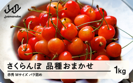 【先行予約】さくらんぼ 品種おまかせ 赤秀品 1kgバラ詰め M玉 2026年産 令和8年産 山形県産 mm-saoam1000