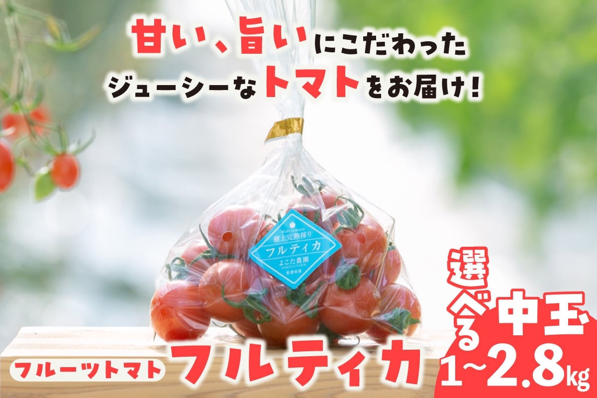 
                  フルーツトマト　中玉フルティカ【選べる内容量：1kg・1.4kg・2.8kg】│よこた農園 フフルティカ 野菜 トマト 新鮮野菜 太陽の恵み 中玉トマトトマト料理 愛知県産 フルーツとまと 甘いトマト お取り寄せ グルメ 常滑市
                