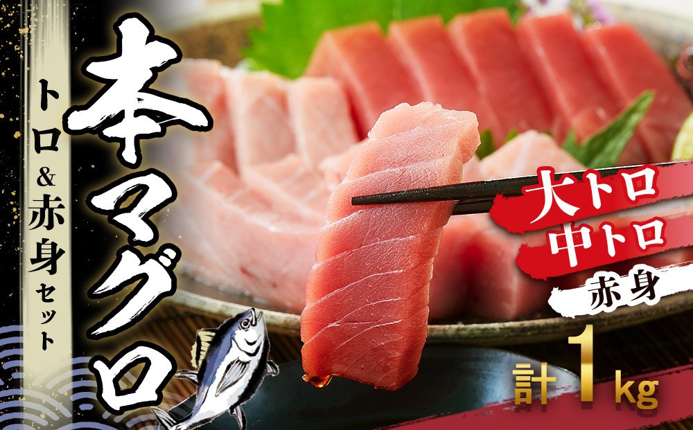 
                  本マグロ トロ+赤身セット 1kg | 那智勝浦町 海鮮 魚介類 本まぐろ 本マグロ まぐろ マグロ 鮪 maguro トロ 赤身 刺身用 セット 人気 おすすめ グルメ 大トロ 中トロ 寿司 国産まぐろ
                