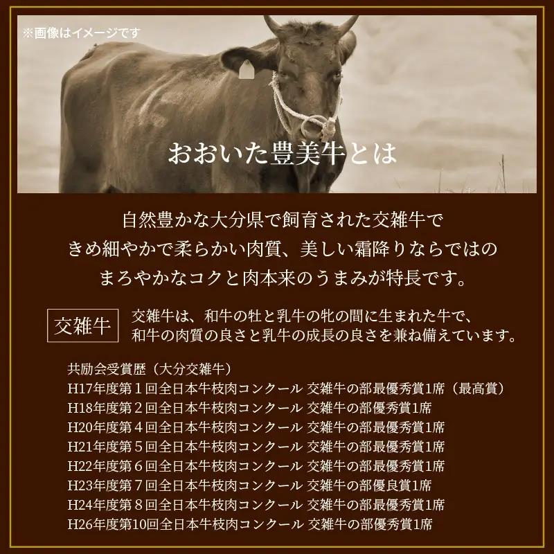 おおいた豊美牛切り落とし 600g (300g×2P)和牛 切落し 国産 和牛 大分県産 和牛_2264R