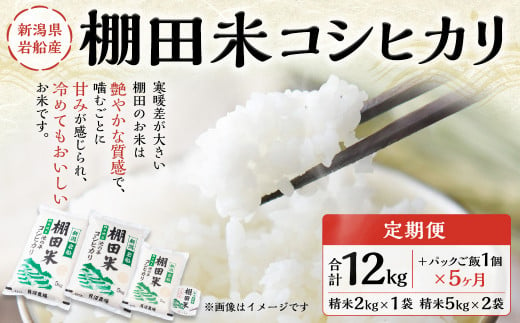 【定期便：5ヶ月連続でお届け】【令和6年産米】新潟県岩船産 棚田米コシヒカリ 12kg+パックごはん(150g×1個)×5ヶ月 E4047