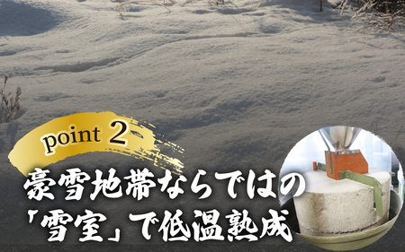 雪室半生そば 8人前（100g/1人前×8個セット） 濃縮だし付 [A-077007]