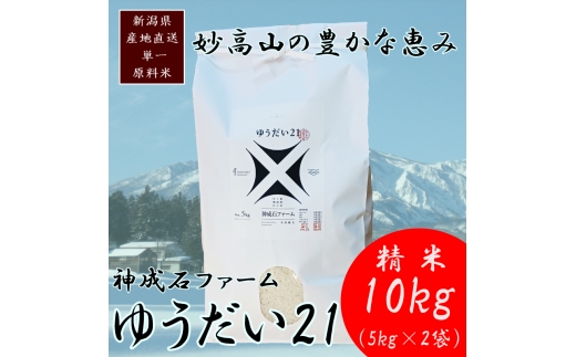 標高200mで育てた棚田米|令和7年・新潟県上越産・ゆうだい21精米10kg(5kg×2袋)　白米  お米 こめ おすすめ ふるさと納税 新潟 新潟県産 にいがた 上越 上越産