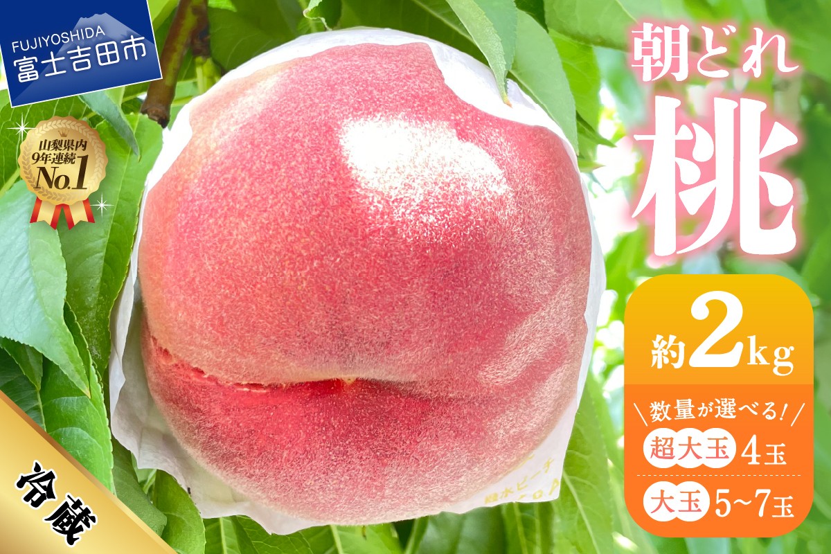 
                  【2026年発送】山梨の朝どれ桃2kg  【選べる数量 超大玉4玉 大玉5玉～7玉】　もも 山梨県産 モモ 厳選 フルーツ 果物 くだもの 山梨 富士吉田
                