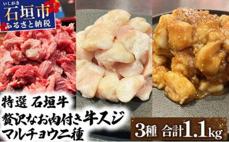 【2025年11月以降順次発送】特選石垣牛の牛スジとマルチョウ、秘伝の味噌味をご家庭で！！牛スジ500g、マルチョウ300ｇ、味噌味マルチョウ300ｇのよくばりセット | 沖縄 石垣 牛スジ マルチョウ ホルモン 牛 肉 特選 黒毛 和牛 贅沢 秘伝 ミソ 味噌 家庭用 | IM-29