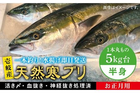 【お歳暮対象】【年内発送】※12/20-1/15配送【年末年始用】壱岐島産天然寒ブリ（一本丸ものサイズ5キロ台の半身ブロック） [JBS019] 54000 54000円